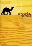 Camel Footage II