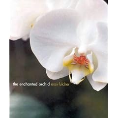 The Enchanted Orchid