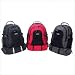 Cambridge II Backpack Color: Red