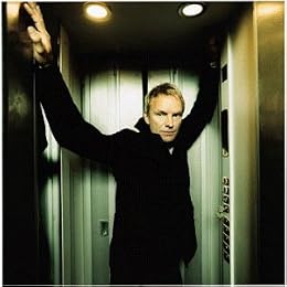 Sting Photo 14