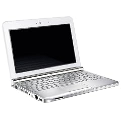 Toshiba Toshiba NB200-110 25,7 cm (10,1 Zoll) Netbook (Intel Atom N280 1.6GHz, 1GB RAM, 160GB HDD, Intel GMA 950, XP Home)