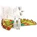 Beachcombers! Henna Tattoo 10 Pre Mixed Paste Cone Party Pack w/Oil & Fine Metal Tip Applicator Bottles