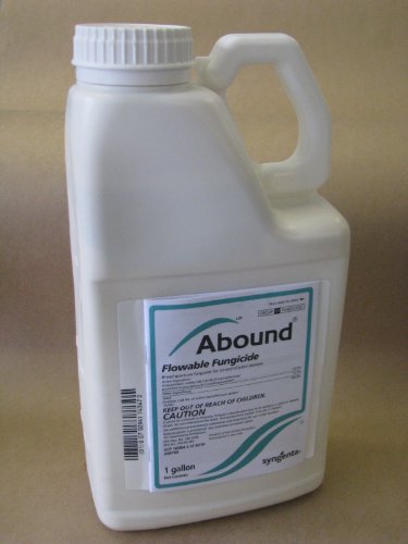 Abound Fungicide 1 Gallon