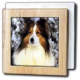 Sheltie - 6 Inch Tile Napkin Holder