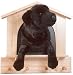 Black Lab Dog House Coat