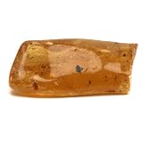 Colombian Amber Half Polished Huge Gemstone with Insects and Natural Inclusions 59.2 gr