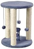 Whisker World Sisal Duplex
