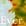 Ever