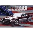 (24x36) Mustang GT 350 (American Muscle) Art Poster Print