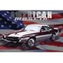 Mustang GT350, Automobiles & Cars Wall Poster Print, 36x24