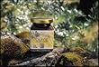 Olive Tapenade