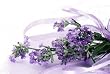 lavender flavor powder