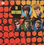 S/T LP (VINYL ALBUM) GERMAN PRT