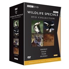 Wildlife Specials DVD Collection Box Set