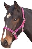 Picture of Cottage Craft Comfy Web Headcollar