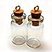 Moxx 5 Mini Bottles with Corks and Loop. 8mm
