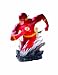 Search : Heroes of the DC Universe: The Flash Bust