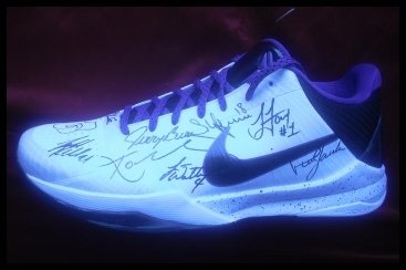 2009/2010 Los Angeles Lakers Autographed/Hand Signed Shoe