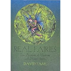 Real Faeries: True Accounts of Meetings with Nature Spirits