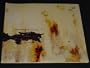 The Downward Spiral by Nine Inch Nails 12" LP