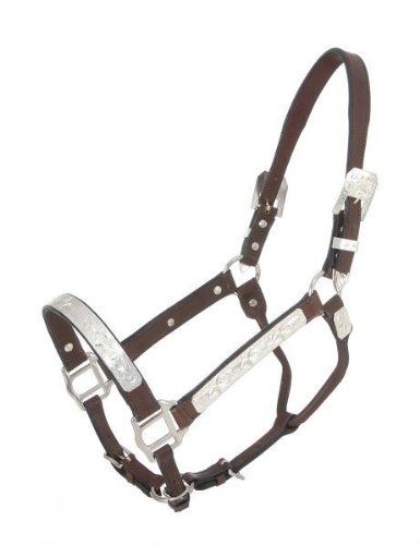 Royal King Raised Star Show Halter