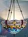 Blue Stained Glass Dragonfly Tiffany Pendant Ceiling Fixture Chandelier Lamp 18 Inch Wide