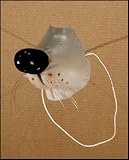 MOUSE NOSE