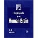 Encyclopedia of the Human Brain, Four-Volume Set