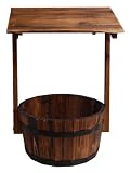 Review Ackerman Group Plc  / Wishing Well Planter