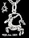 Sterling Silver Sagittarius Necklace