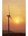 Photographic Print of Wind turbine from Science Photo Library