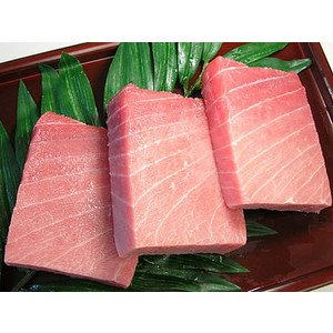 高級寿司・割烹仕様本マグロ（クロマグロ）大トロ（約500g）【父の日ギフト・プレゼント】