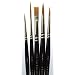 Pro Arte Prolene Brush Set