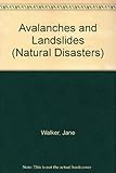 Avalanches and landslides