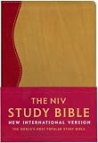 NIV Study Bible