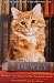 Books : Dewey: The Small Town Library Cat Who Touched the World