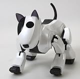 Dasarobot