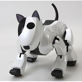 Genibo QD Robot (White English Version)