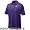 Nike Kansas State Wildcats Purple Classic Dri-FIT Polo