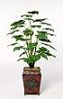 Artificial Pothos Floor Plant
