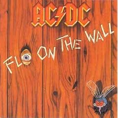 Fly on the Wall