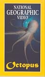 Review Quadrant Video  / National Geographic Video - Octopus