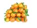 Mandarin Tangerines to Buy, for Sale - 10 Lbs - 40 plus fresh Summer Seedless Mandarins - $28.25 price includes Shipping - No Additional Cost - Delivered Priority Mail in 2-3 days from Order - Home Deliveries -Un-waxed - Non-Sprayed- Non-Irradiated - Home Grown - Picked only to Fill Your Order - All Naturally Home Grown Environmentally Friendly Mandarins from our Orchard at Roberts Hickory Hill Farm, California, U.S.A. Produce - Always know where you fruit comes from.