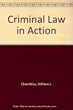 Criminal law in action