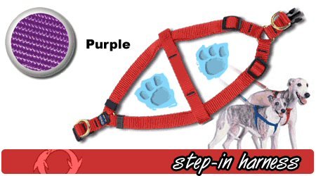 Purple 3 8