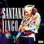 Jingo