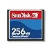 SanDisk SDCFB-256-A10 256 MB CompactFlash Card (Retail Package)