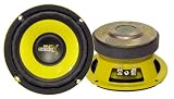 5.25'' 200 Watt High Performance Subwoofer