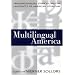 Multilingual America: Transnationalism, Ethnicity, and the Languages of American Literature