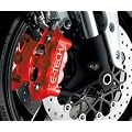 E-Tech Red Brake Caliper Paint Kit